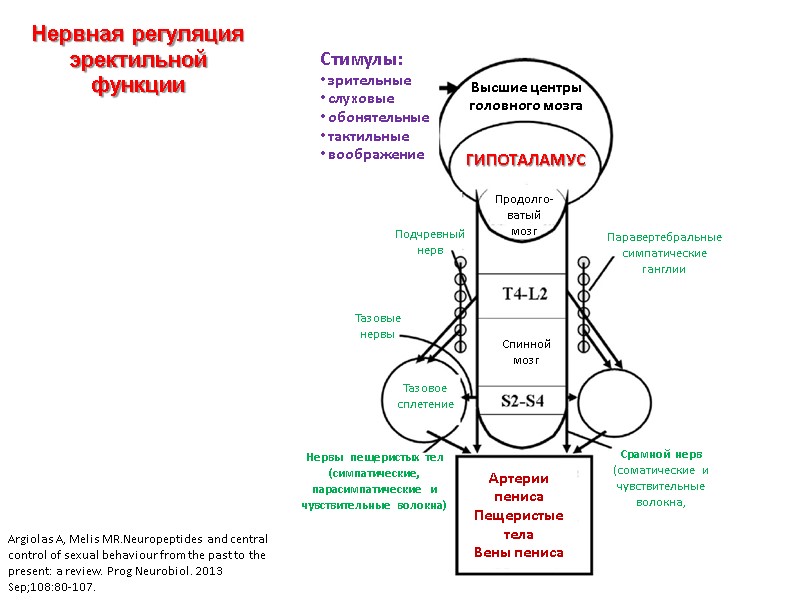 Argiolas A, Melis MR.Neuropeptides and central control of sexual behaviour from the past to